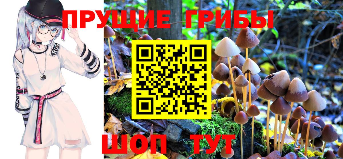 Псилоцибиновые грибы Psilocybe  Псилоцибиновые грибы Cubensis  Вход с VPN  Сердобск 
