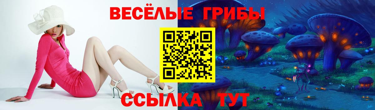 Псилоцибиновые грибы прущие грибы Сердобск